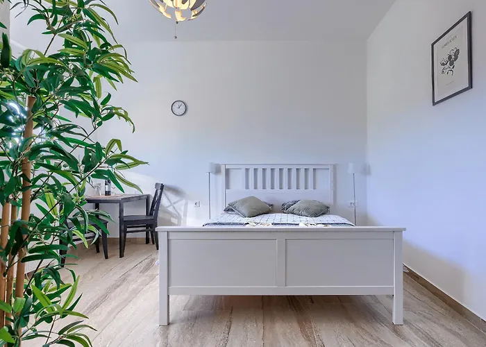 Auberge de jeunesse Monte Zaro Pula